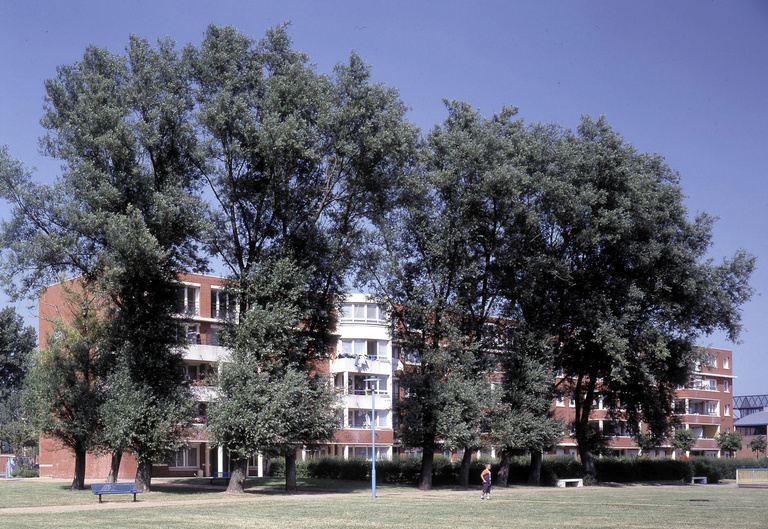 Atelier d'Urbanité - Projet-vue depuis le parc.jpg