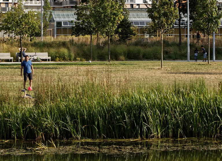 Atelier d'Urbanité - Crop-Parc2.jpg